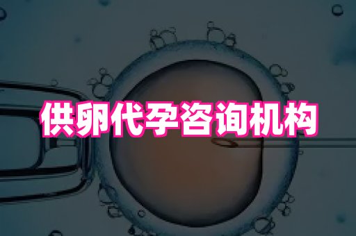 杭州助孕网 1