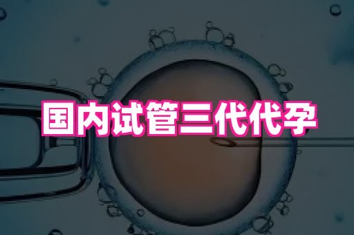 杭州助孕网 1