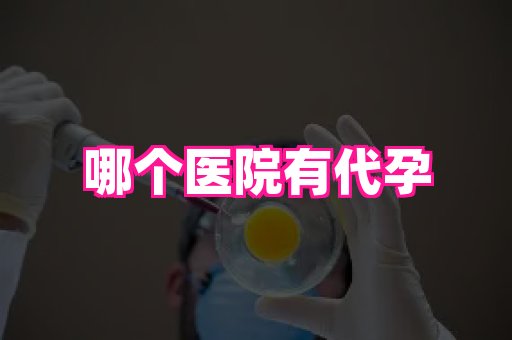杭州助孕网 2