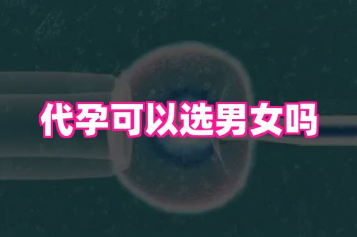 杭州助孕网 4
