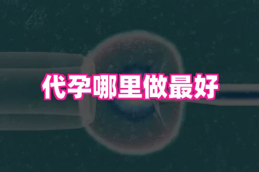 杭州助孕网 4